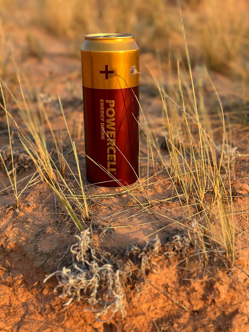 Проведи выходные с Powercell